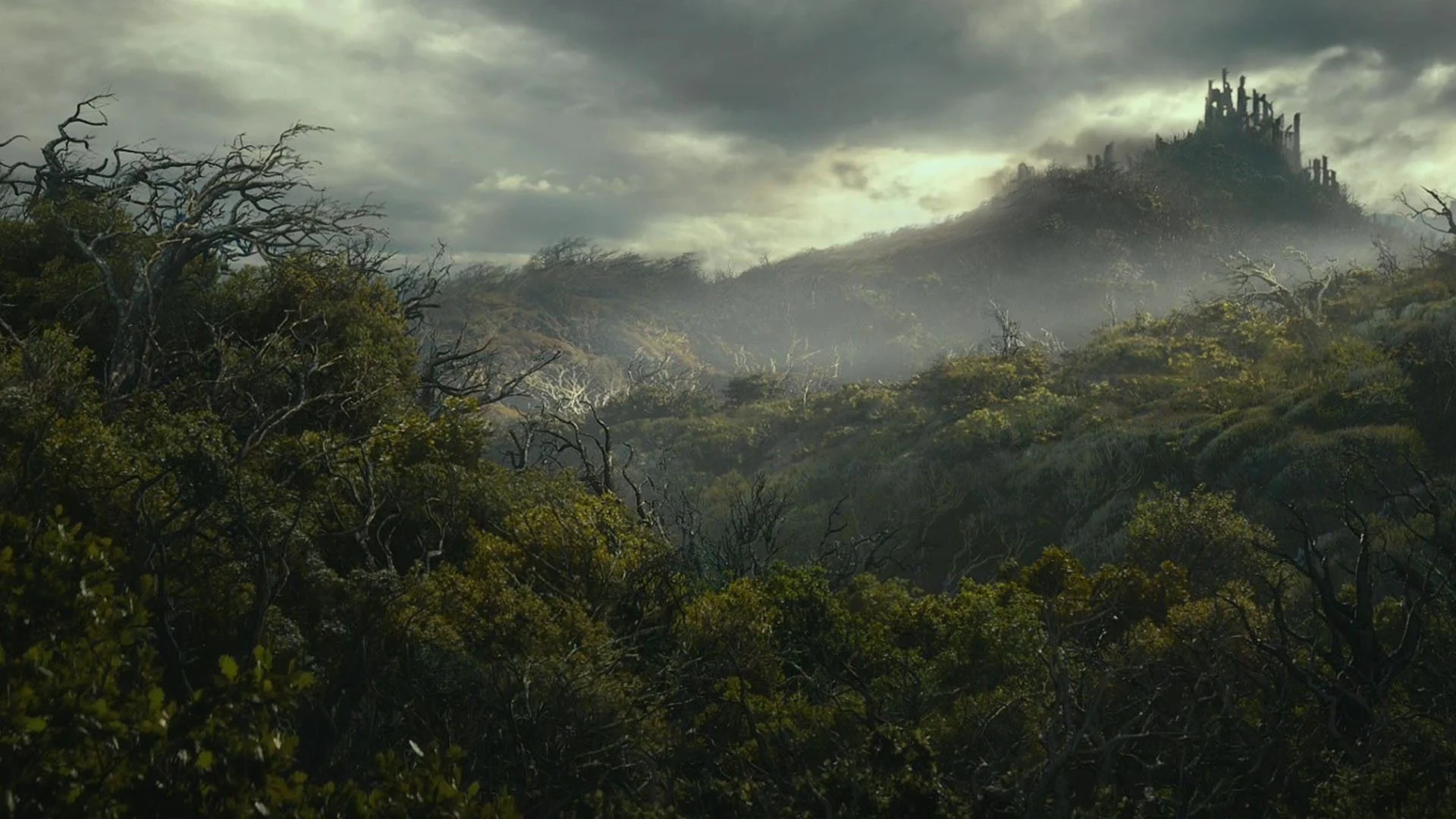 The forest of Mirkwood